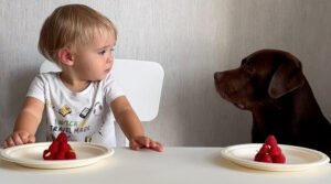 Amy Lee's Son, Jack Lion Hartzler: The Story of a Musical Legacy - The