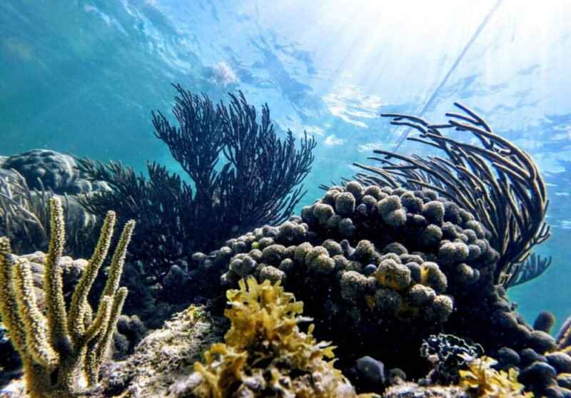 tulum adventure unforgettable experiences ruins reefs 3