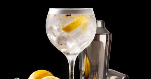 discover the exquisite world of gin 2