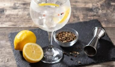 discover the exquisite world of gin