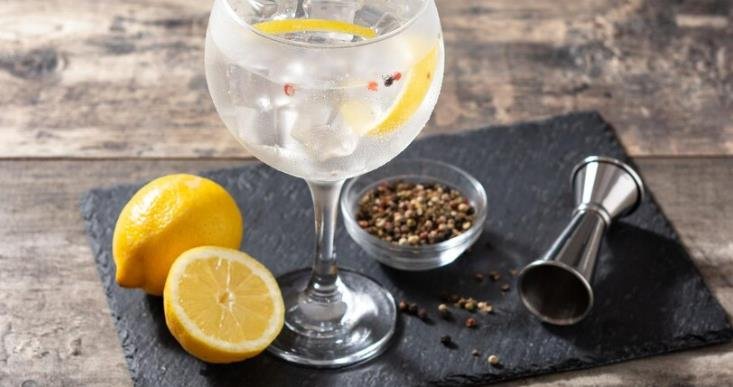 discover the exquisite world of gin