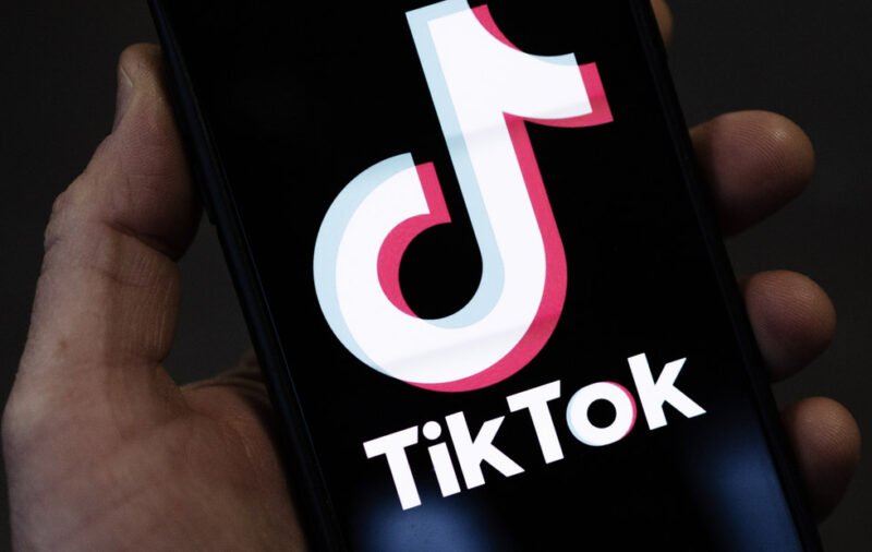how tiktok became the #1 launchpad for viral stardom