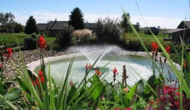 the seasonal guide to order pond fountains for achieving maximum impact 1
