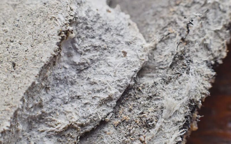 asbestos surveys