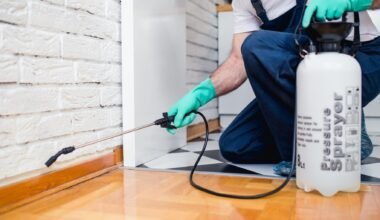 expert solutions for nowra pest control