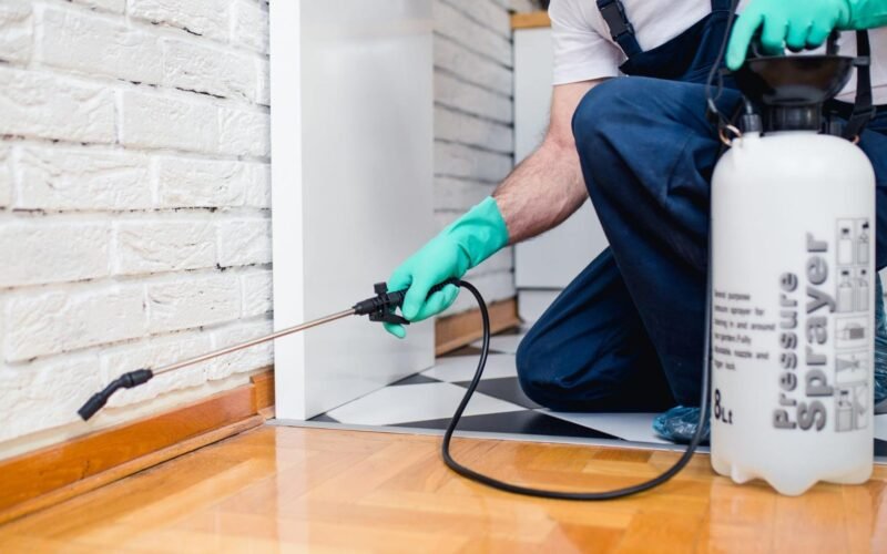 expert solutions for nowra pest control