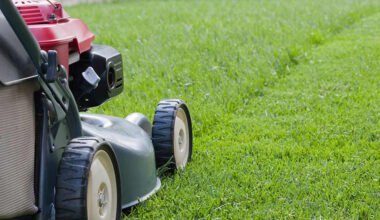 lawn care