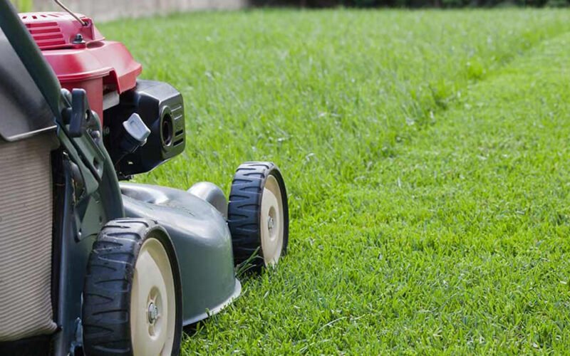 lawn care