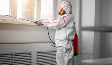 professional mold removal