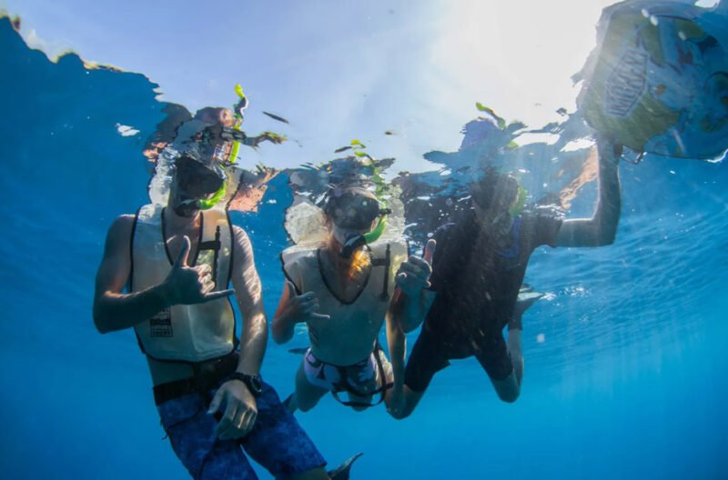 kauai scuba diving companies