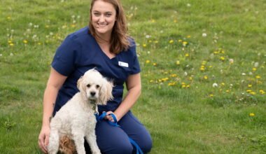 securing your pets future the importance of pet insurance