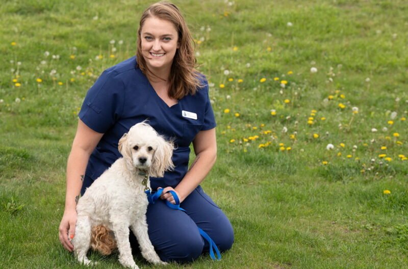 securing your pets future the importance of pet insurance