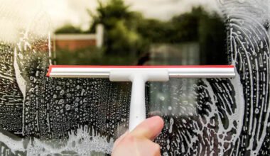 sparkling clean windows