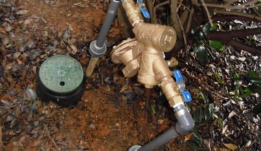 backflow repair services
