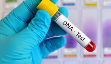 dna testing for ancestry