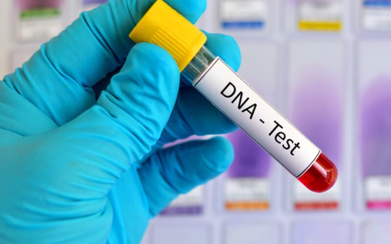 dna testing for ancestry
