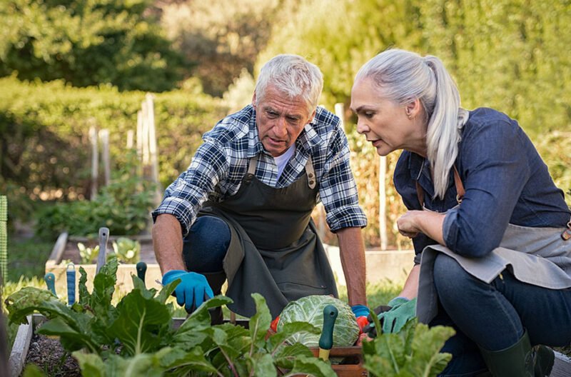 fun and fulfilling activities