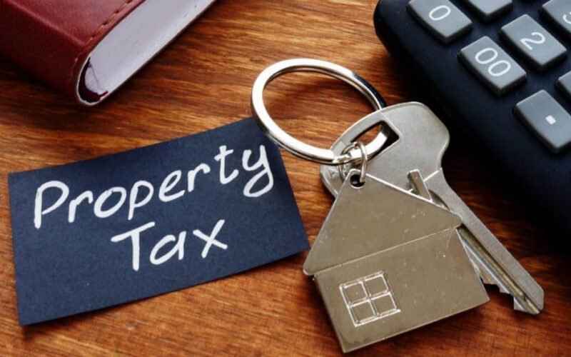 guide in navigating property tax appeals
