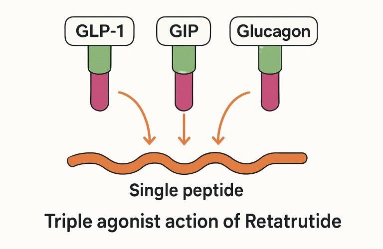 retatrutide peptides