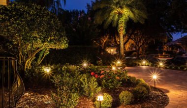 tips portland homeowners can use to wow neighbors with lights