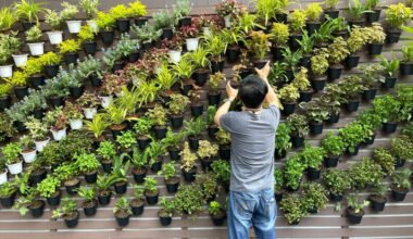 using vertical landscaping