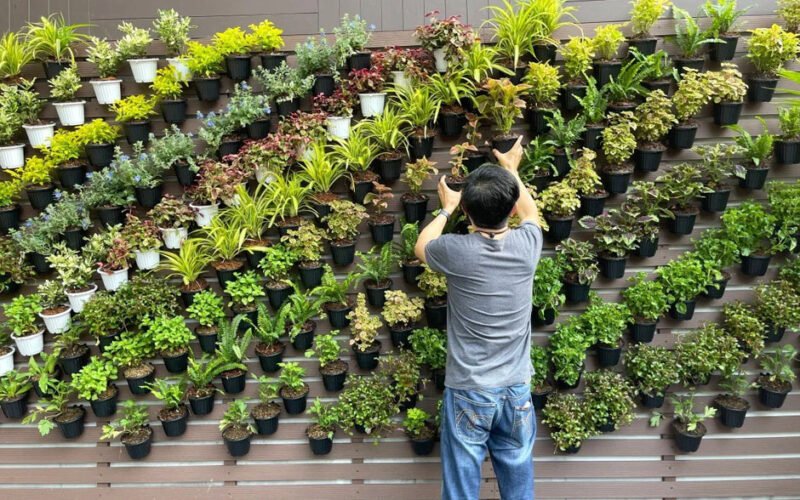 using vertical landscaping