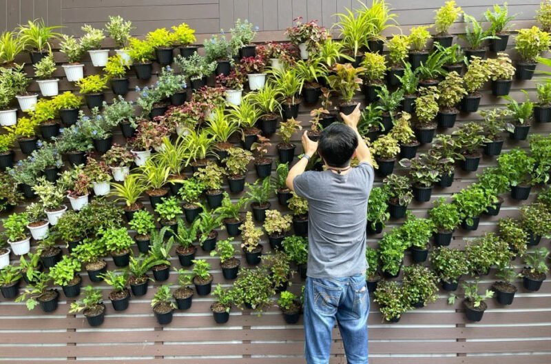 using vertical landscaping
