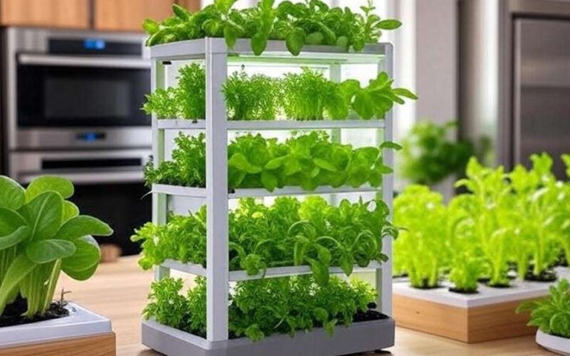 vertical hydroponic homegrown produce