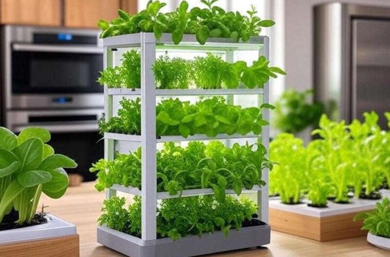 vertical hydroponic homegrown produce