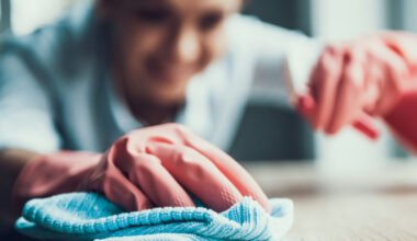 why professional maids clean faster and better