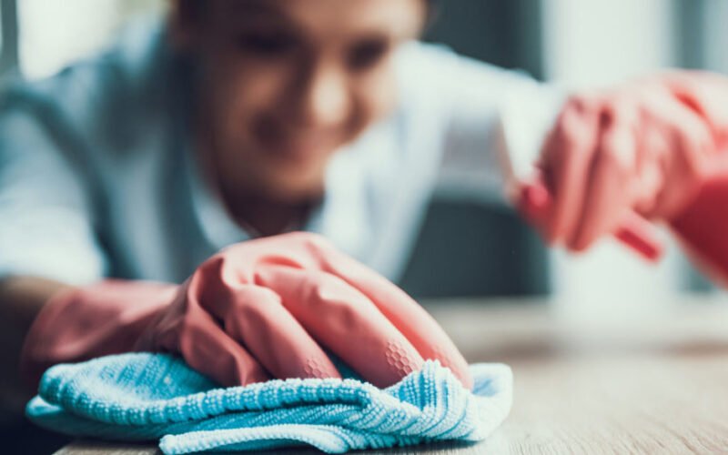 why professional maids clean faster and better