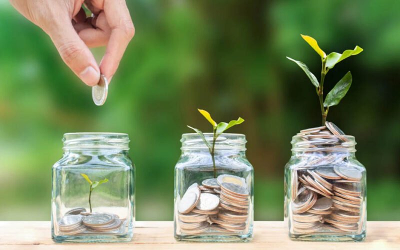 invest your capital for business growth