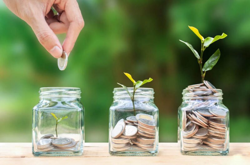 invest your capital for business growth