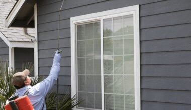 best steps to stop wasps from taking over your home