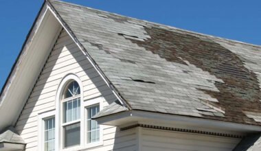 common roof damage causes