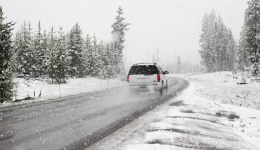 comprehensive guide to seasonal auto service preparations