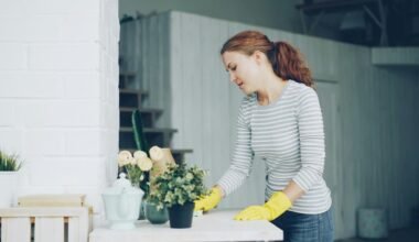 detail cleaning experts providing thorough and professional care