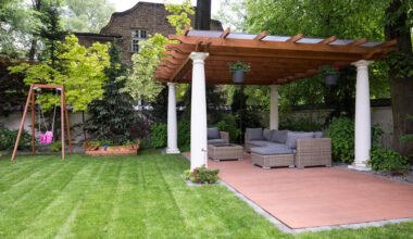 expert lawn care solutions to keep your grass lush and vibrant