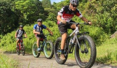 explore more with convenient and affordable bike rentals