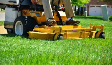 innovative lawn care tools transforming your yard