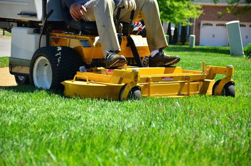 innovative lawn care tools transforming your yard