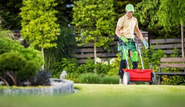 keep your yard healthy and green with expert lawn care