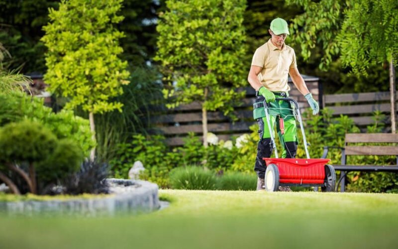keep your yard healthy and green with expert lawn care