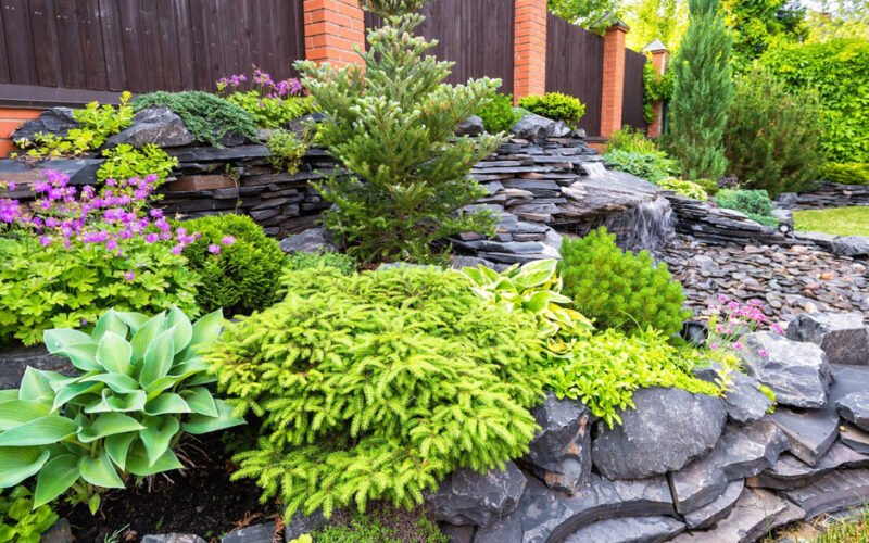 north carolina landscaping ideas