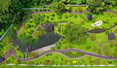 professional landscape installation