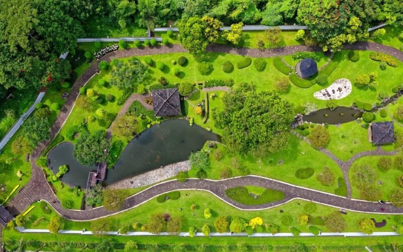 professional landscape installation