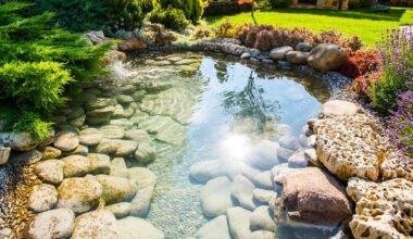 stylish sustainable landscaping