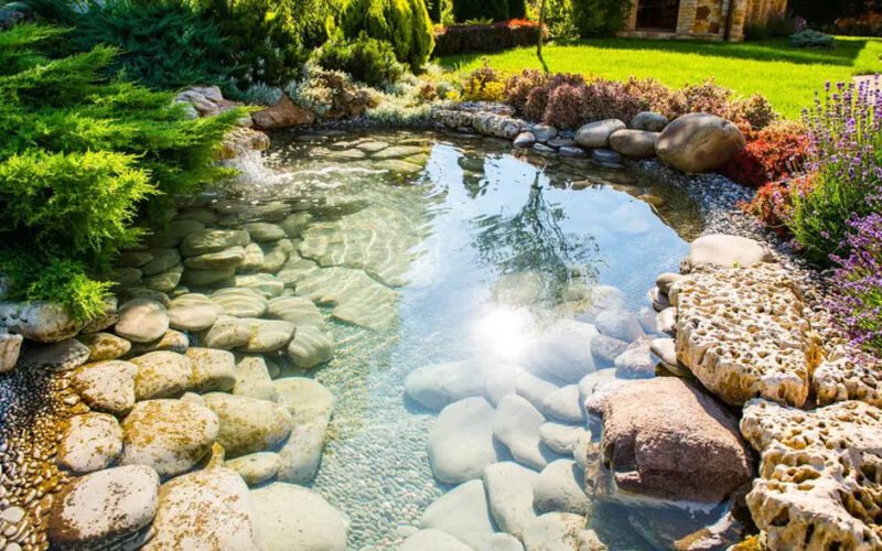 stylish sustainable landscaping