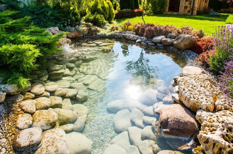 stylish sustainable landscaping