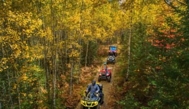 the art of atv riding techniques and tips for beginners